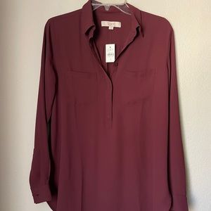 Loft Sheer Long Sleeve Blouse